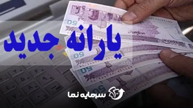 سود سهام عدالت