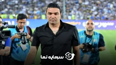 سعید لطفی